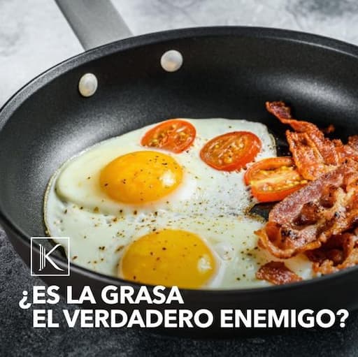 ¿ES LA GRASA EL VERDADERO ENEMIGO?